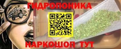 дурь Кимры