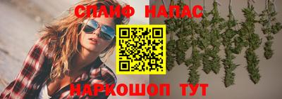 дурь Кингисепп