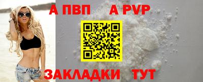 дурь Кингисепп